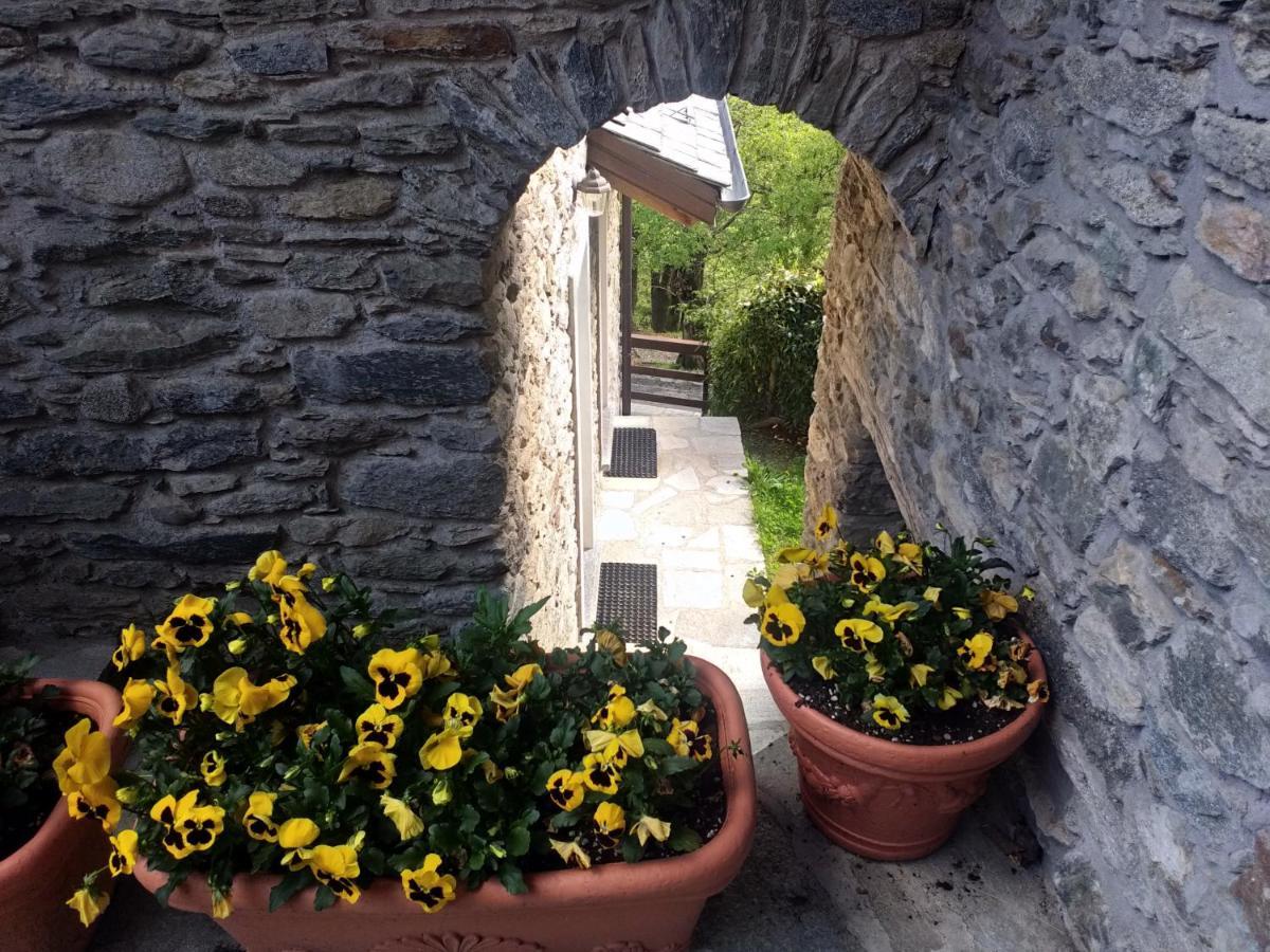 Agriturismo La Fonte Di Mariella 그라베도나 외부 사진